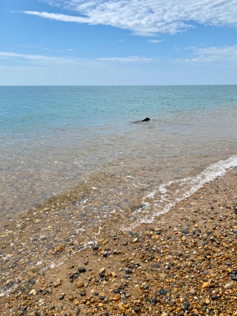 A beautiful photo of a pebbly beach with a very bright blue sky and sea